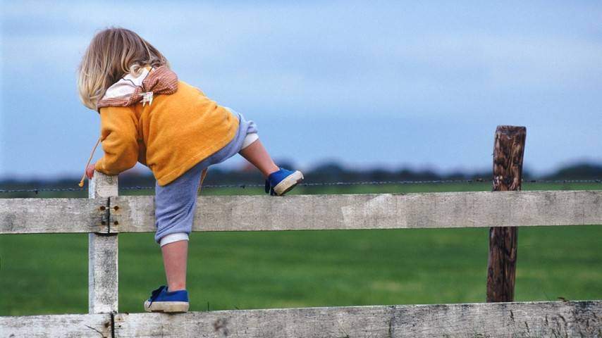 Motivation psychologie