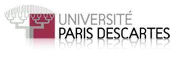 Paris5 psychologie