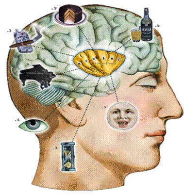 Psychologie cognitive