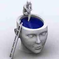 Psychologie des organisations
