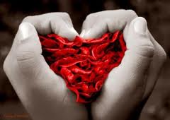 Sentiment amoureux