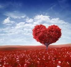 Par amour