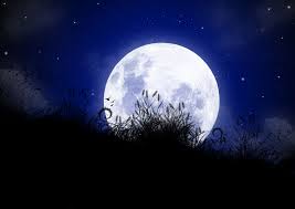 Nuit