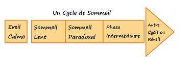 Phases de sommeil