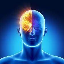 Études psychologie